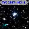 TYC 2667-403-1