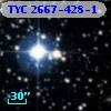 TYC 2667-428-1