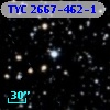 TYC 2667-462-1
