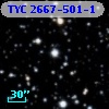TYC 2667-501-1