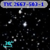 TYC 2667-503-1