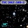 TYC 2667-509-1