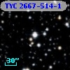 TYC 2667-514-1