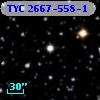 TYC 2667-558-1