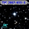TYC 2667-655-1