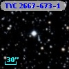 TYC 2667-673-1