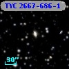 TYC 2667-686-1