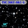 TYC 2667-802-1