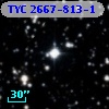 TYC 2667-813-1