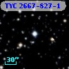 TYC 2667-827-1