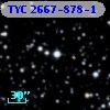 TYC 2667-878-1