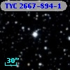 TYC 2667-894-1