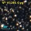 V* V1281 Cyg