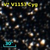 V* V1153 Cyg