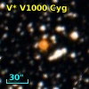 V* V1000 Cyg