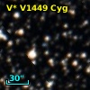 V* V1449 Cyg