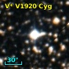 V* V1920 Cyg