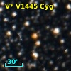 V* V1445 Cyg