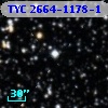 TYC 2664-1178-1