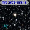 TYC 2677-558-1
