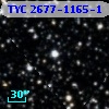 TYC 2677-1165-1