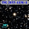 TYC 2677-1176-1