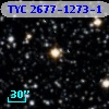 TYC 2677-1273-1