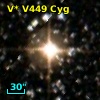 V* V449 Cyg