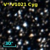 V* V1021 Cyg