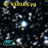V* V1018 Cyg