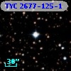 TYC 2677-125-1