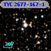 TYC 2677-167-1