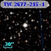 TYC 2677-215-1