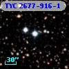 TYC 2677-916-1