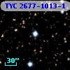 TYC 2677-1013-1