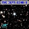 TYC 2677-1240-1