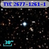 TYC 2677-1261-1