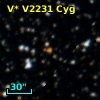 V* V2231 Cyg