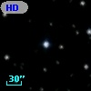 HD 331999