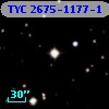 TYC 2675-1177-1