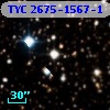 TYC 2675-1567-1