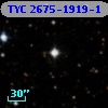 TYC 2675-1919-1