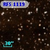 RFS 1119