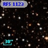 RFS 1123
