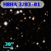 HBHA 3203-01