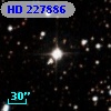 HD 227886