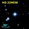 HD 229038