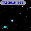TXS 2019+333