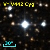 V* V442 Cyg