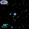 V* V505 Cyg